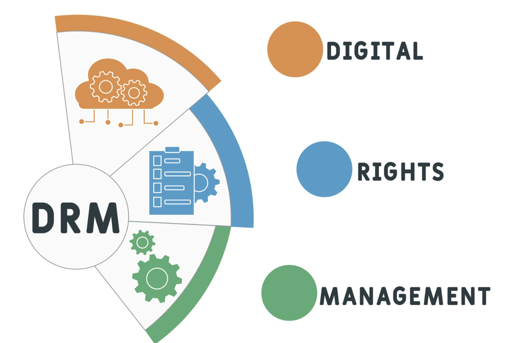 Creative Commons Licenses Explained A Complete Practical Guide for Digital Content
